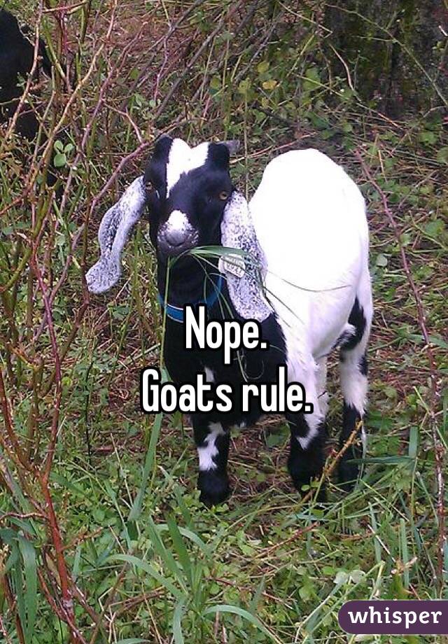 Nope. 
Goats rule.