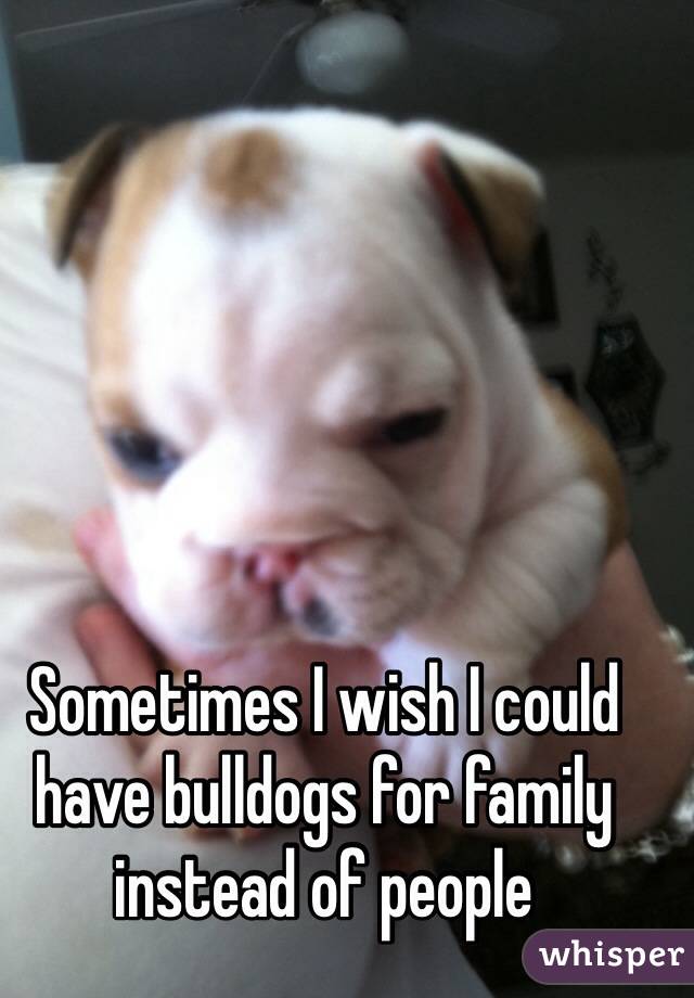Sometimes I wish I could have bulldogs for family instead of people