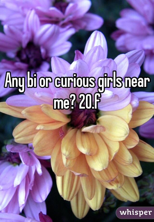 Any bi or curious girls near me? 20.f