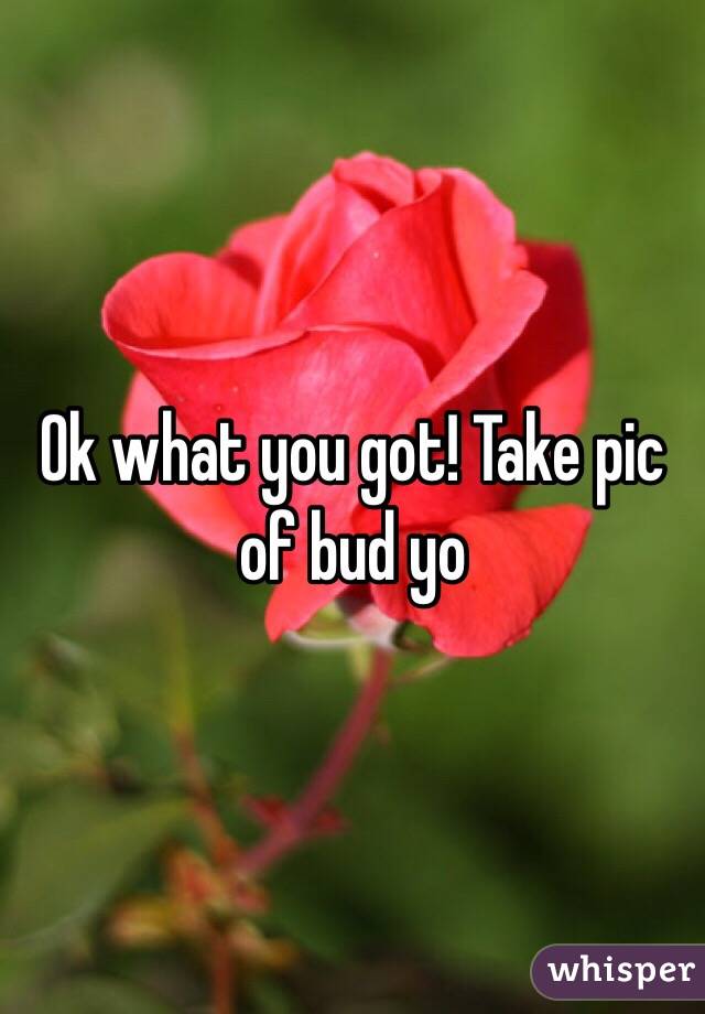 Ok what you got! Take pic of bud yo