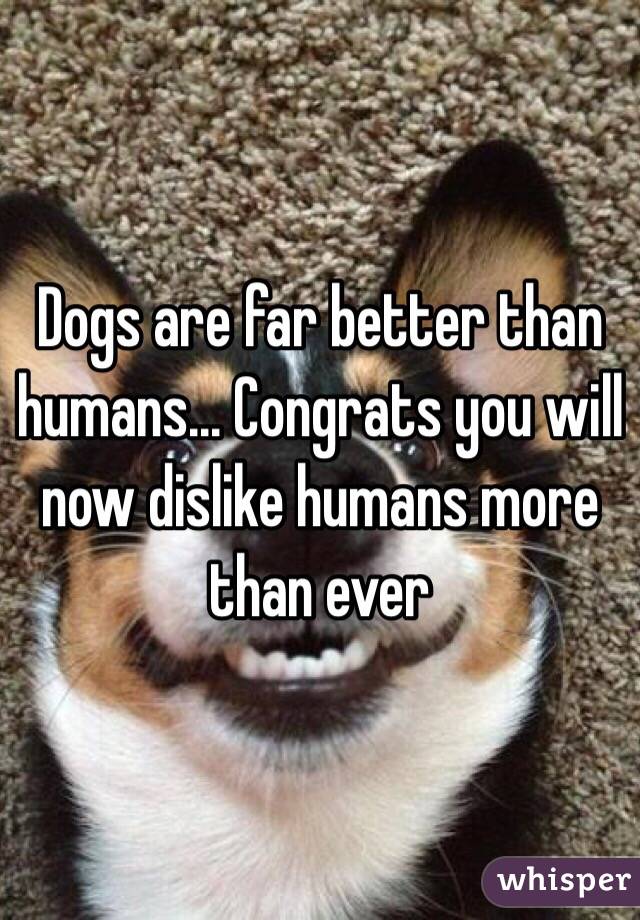 Dogs are far better than humans... Congrats you will now dislike humans more than ever