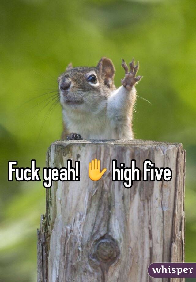Fuck yeah! ✋ high five 