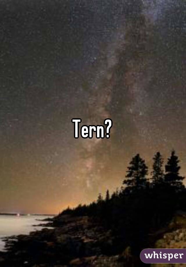 Tern?