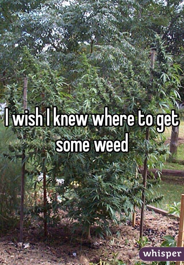 I wish I knew where to get some weed