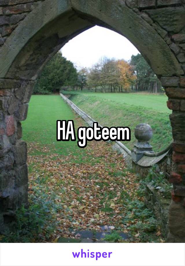 HA goteem