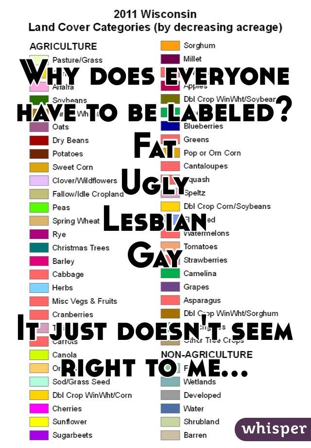 Why does everyone have to be labeled? 
Fat
Ugly
Lesbian
Gay

It just doesn't seem right to me...