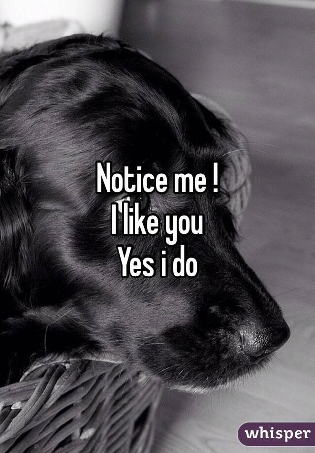 Notice me !
I like you 
Yes i do 
