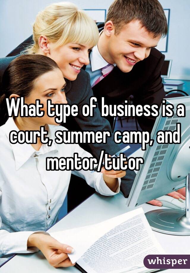 What type of business is a court, summer camp, and mentor/tutor