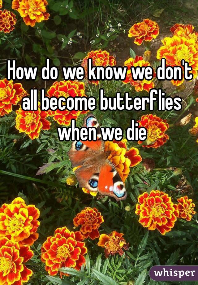 How do we know we don't all become butterflies when we die