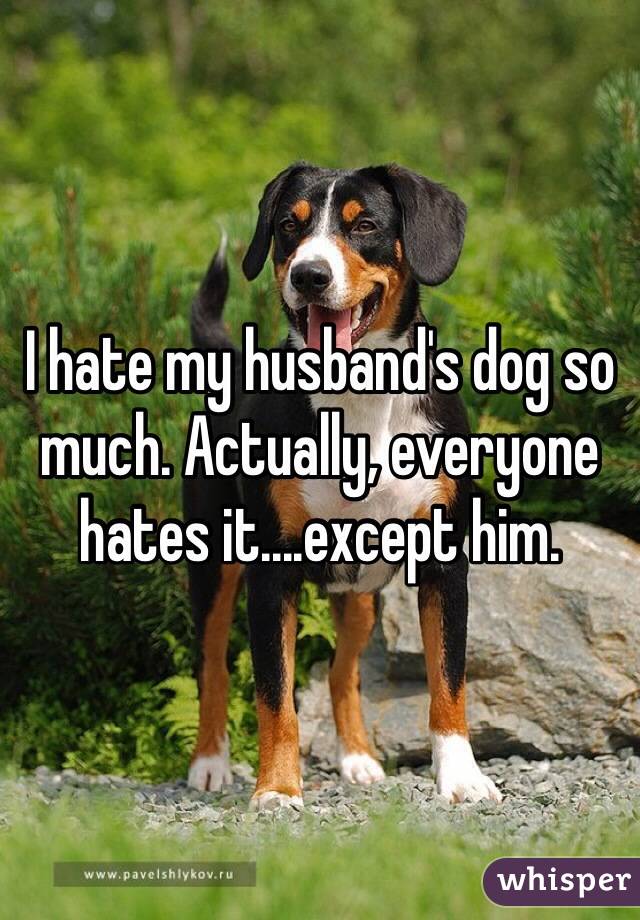 I hate my husband's dog so much. Actually, everyone hates it....except him.