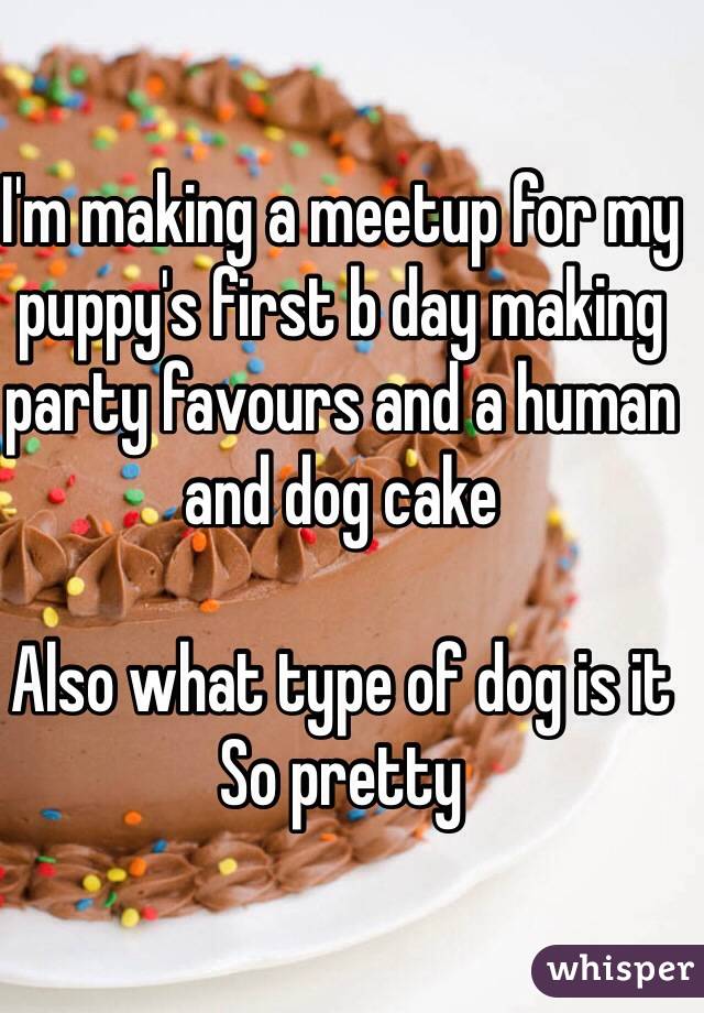 I'm making a meetup for my puppy's first b day making party favours and a human and dog cake

Also what type of dog is it
So pretty