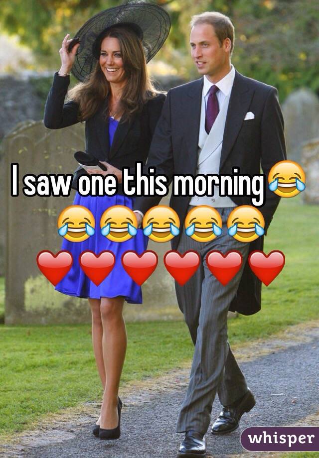 I saw one this morning😂😂😂😂😂😂❤️❤️❤️❤️❤️❤️