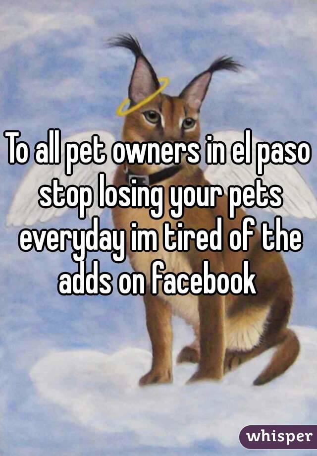 To all pet owners in el paso stop losing your pets everyday im tired of the adds on facebook 