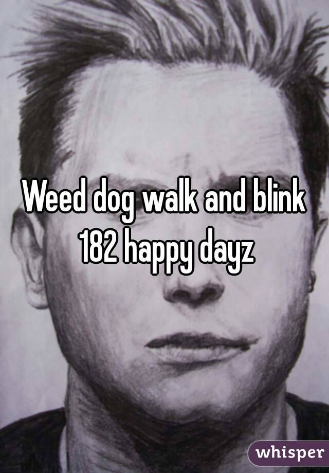 Weed dog walk and blink 182 happy dayz