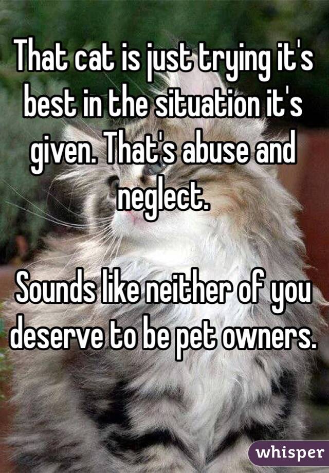 That cat is just trying it's best in the situation it's given. That's abuse and neglect. 

Sounds like neither of you deserve to be pet owners. 