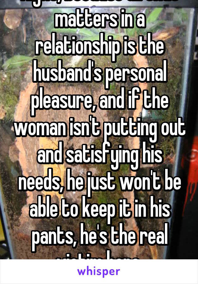 Right, because all that matters in a relationship is the husband's personal pleasure, and if the woman isn't putting out and satisfying his needs, he just won't be able to keep it in his pants, he's the real victim here.
*sarcasm*