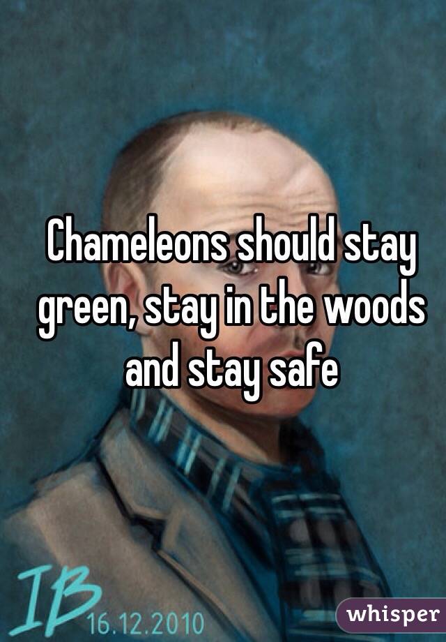 Chameleons should stay green, stay in the woods and stay safe