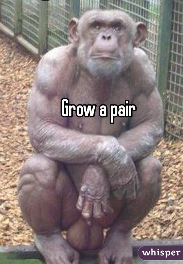 Grow a pair