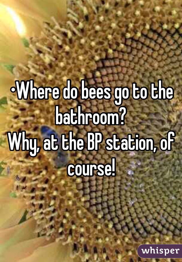 •Where do bees go to the bathroom?
Why, at the BP station, of course!