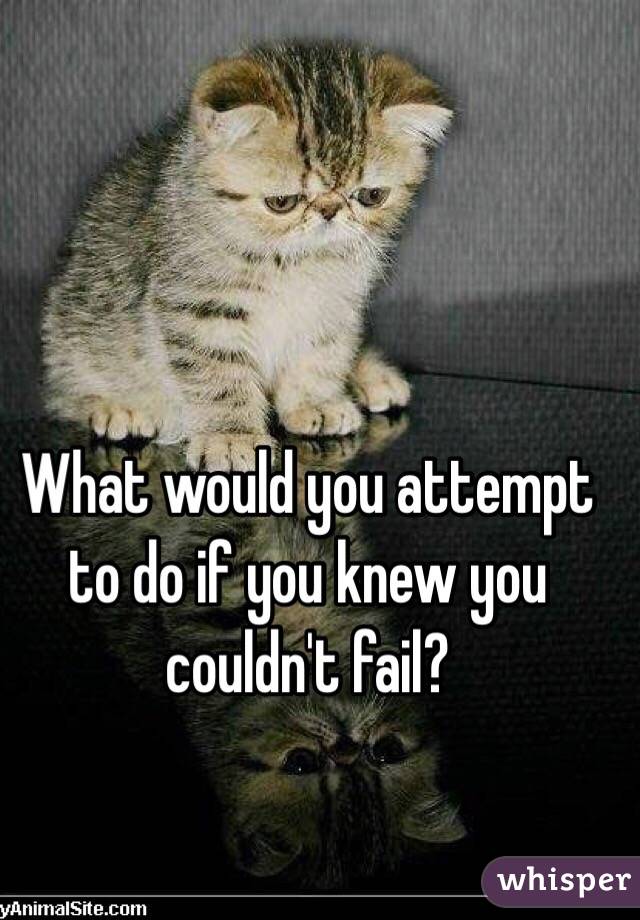  What would you attempt to do if you knew you couldn't fail?