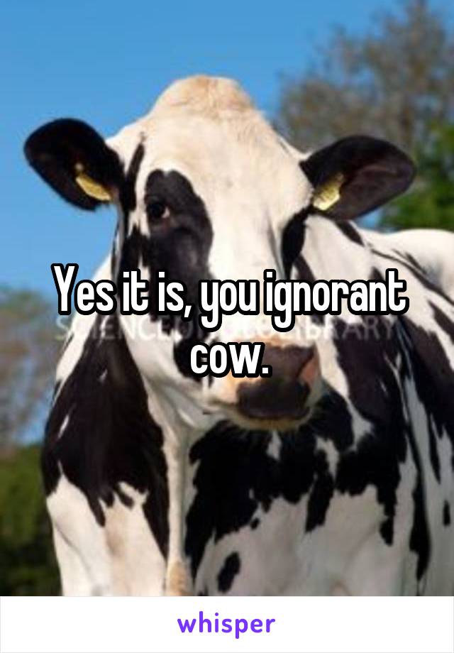 Yes it is, you ignorant cow.