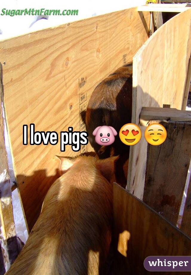 I love pigs 🐷😍☺️