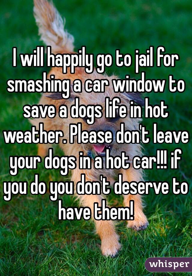 I will happily go to jail for smashing a car window to save a dogs life in hot weather. Please don't leave your dogs in a hot car!!! if you do you don't deserve to have them! 