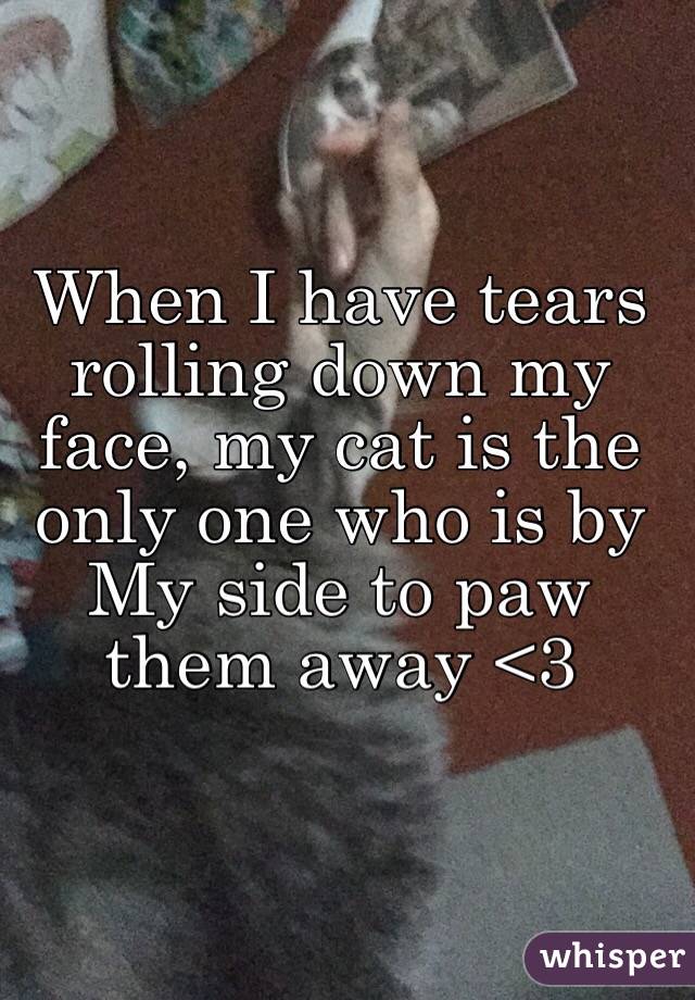 When I have tears rolling down my face, my cat is the only one who is by My side to paw them away <3