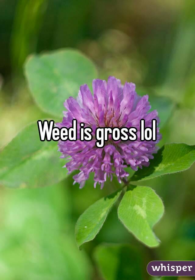 Weed is gross lol