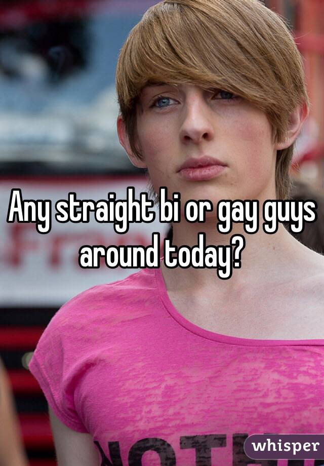 Any straight bi or gay guys around today?