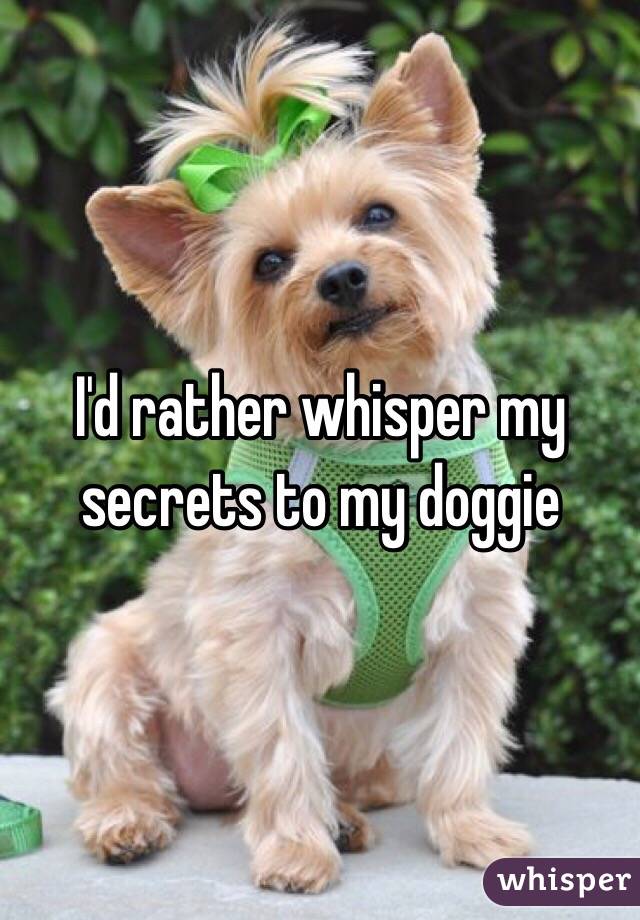 I'd rather whisper my secrets to my doggie 