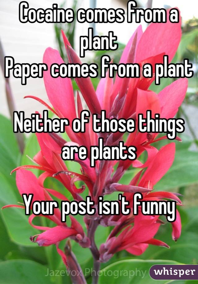 Cocaine comes from a plant
Paper comes from a plant

Neither of those things are plants

Your post isn't funny
