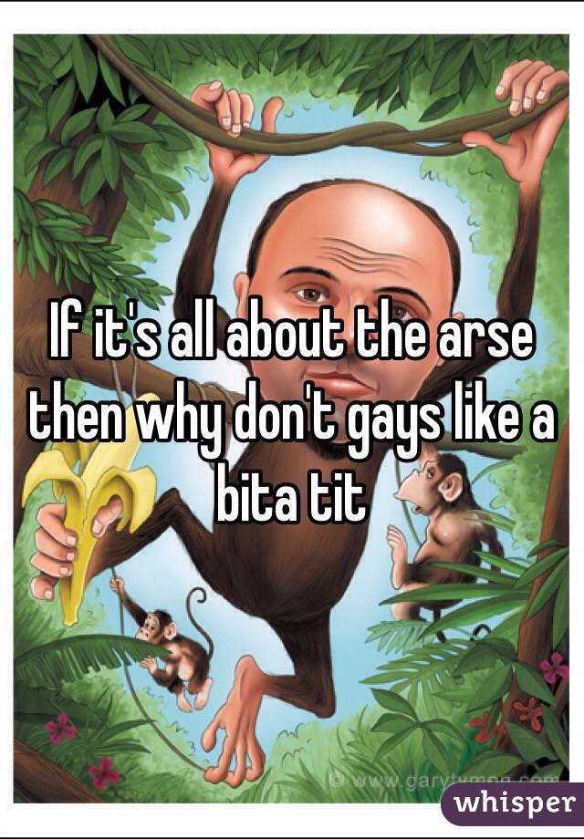 If it's all about the arse then why don't gays like a bita tit