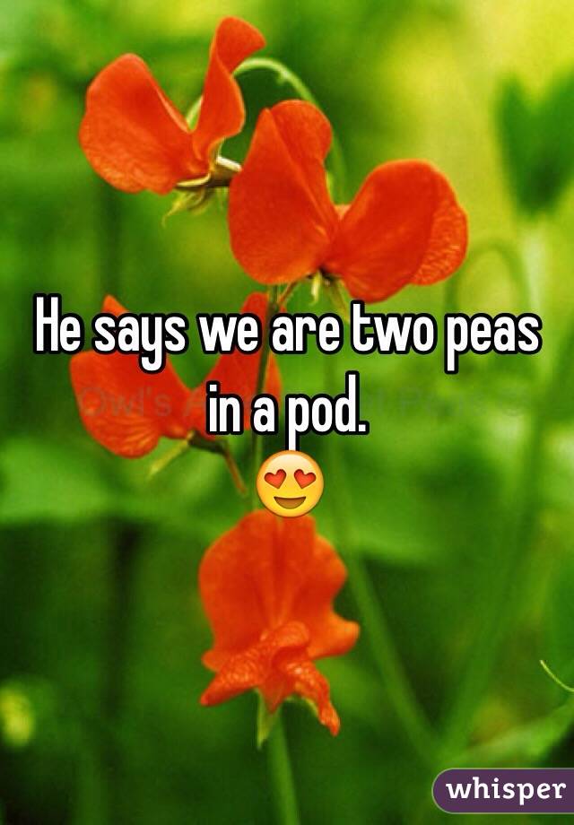 He says we are two peas in a pod. 
😍