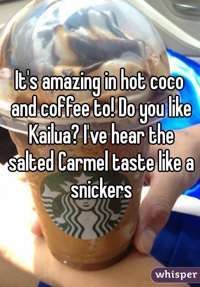It's amazing in hot coco and coffee to! Do you like Kailua? I've hear the salted Carmel taste like a snickers
