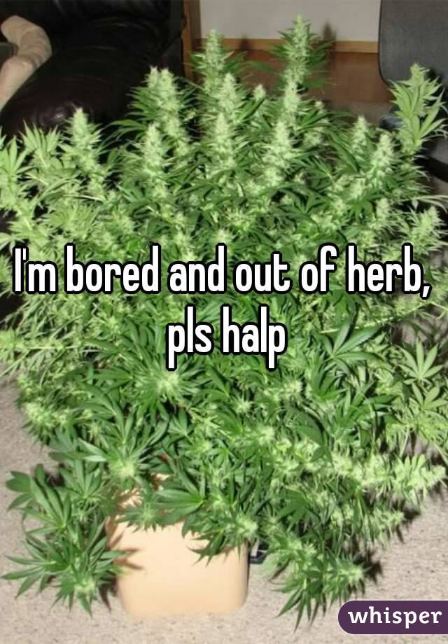 I'm bored and out of herb, pls halp