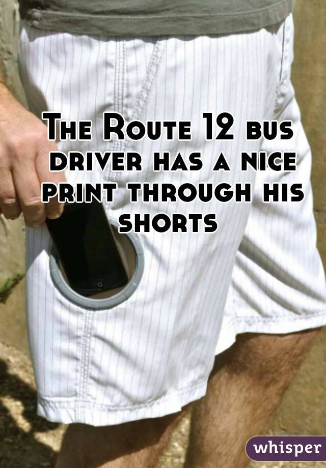 The Route 12 bus driver has a nice print through his shorts 
