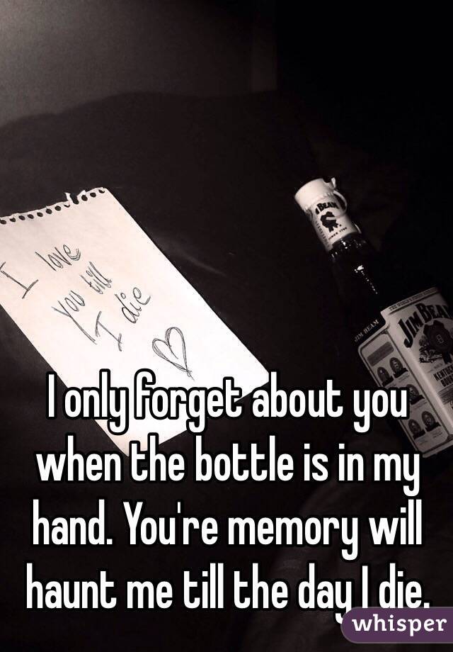 I only forget about you when the bottle is in my hand. You're memory will haunt me till the day I die. 