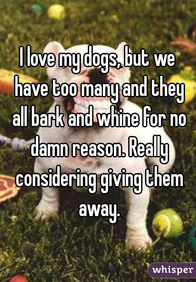 I love my dogs, but we have too many and they all bark and whine for no damn reason. Really considering giving them away.