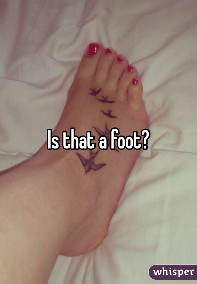 Is that a foot?