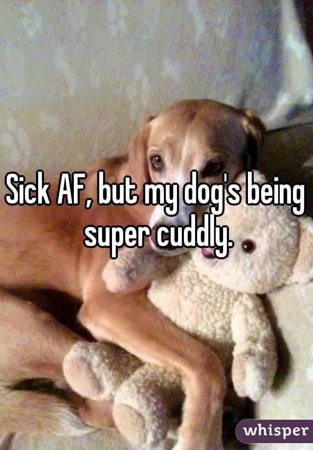 Sick AF, but my dog's being super cuddly.
