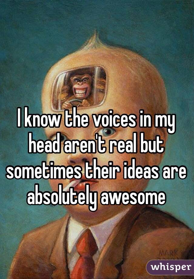 I know the voices in my head aren't real but sometimes their ideas are absolutely awesome  