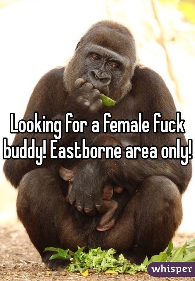 Looking for a female fuck buddy! Eastborne area only!