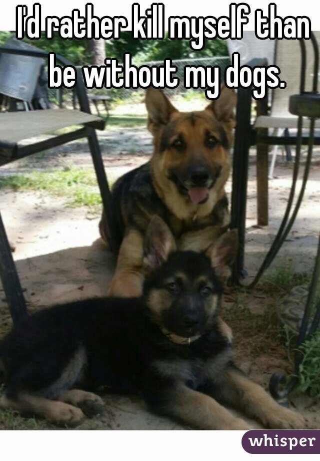 I'd rather kill myself than be without my dogs.