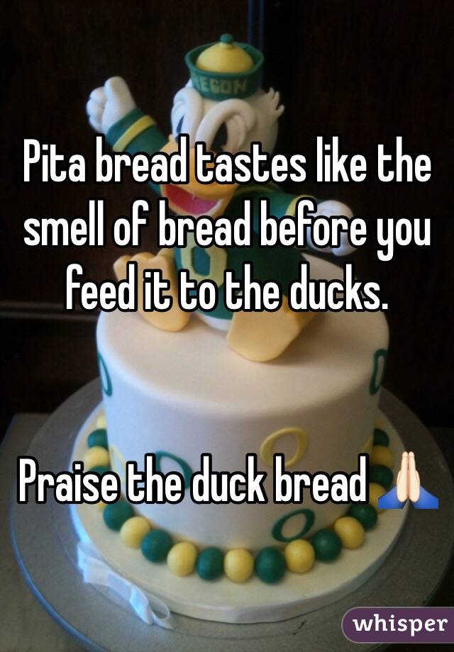 Pita bread tastes like the smell of bread before you feed it to the ducks. 


Praise the duck bread 🙏🏻
