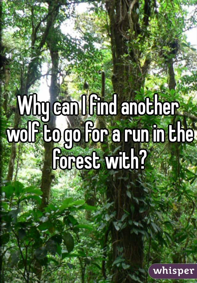 Why can I find another wolf to go for a run in the forest with?