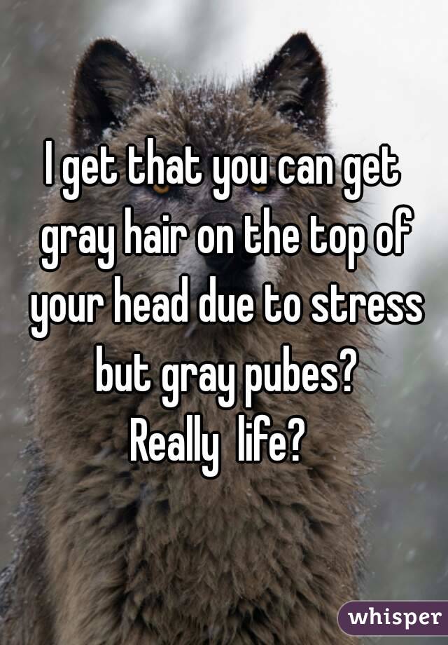 I get that you can get gray hair on the top of your head due to stress but gray pubes?
Really  life? 