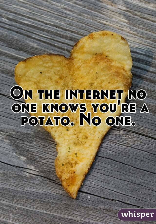On the internet no one knows you're a potato. No one. 