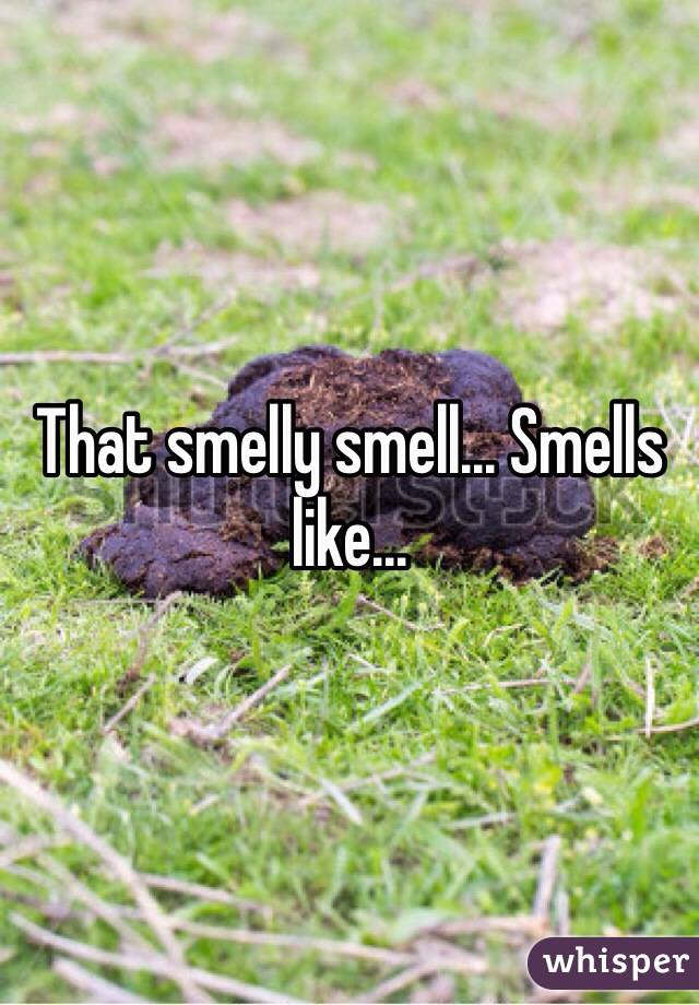That smelly smell... Smells like...