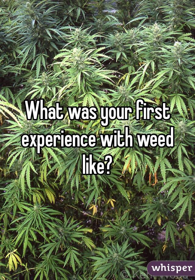 What was your first experience with weed like?
